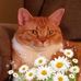 Verna Dickerson - Facebook