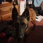 Verna Dixon - @verna.dixon.940 - Instagram