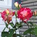 Verna Dobson - Facebook