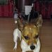 Verna Doherty-Brunskill - Facebook