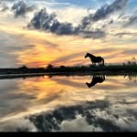Verna Glenn Farmer - @vernaglenn - Instagram