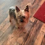 Verna Fletcher - @vernafletcher69 - Instagram