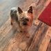 Verna Fletcher - Facebook