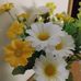 Verna Foley - Facebook