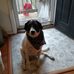 Verna Foley - Facebook