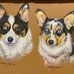 Verna Foley - Facebook