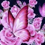 Verna Foley - Facebook