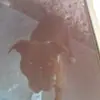 Verna Ford - @verna.ford25 - TikTok