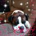 Verna Forrest - Facebook