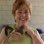 Verna Gates - @vernagwrites - Instagram