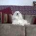 Verna Gray - Facebook