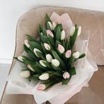 Verna Harper - @vernaharper44 - Instagram