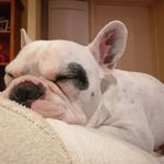Verna Hill - @verna48verna - Instagram
