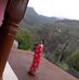 Veena Katoch - Facebook
