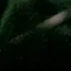 vernalewis19751 - @vernalewis19751 - TikTok