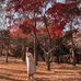 Verna Li - Facebook