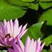 Verna Mast - Facebook