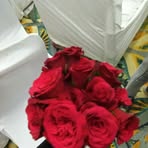 Piriya Verma - Facebook