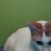 Verna Rodriguez - Facebook