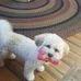 Verna Scott - Facebook