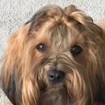 Verna Scott - @vernaescot - Instagram