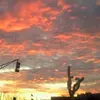 vernascott547 - @vernascott547 - TikTok