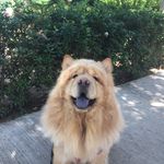 Tucker Vernache - @tuckervernache - Instagram