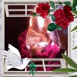 Verna Wallace - @vernawallace23 - Instagram