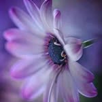Verna Wallace - @m.shs2k06 - Instagram