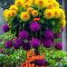 Vernette Thomas - Facebook