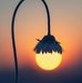 Vernice Easton - Facebook