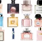 Vernice.100%original perfume - @ver.nicelee - Instagram