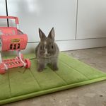 Vernice Lee Wan Xin - @vernice.lee.0906 - Instagram