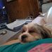 Vernice Malone - Facebook