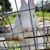 vernikiaphillips34 - @vernikiaphillips34 - TikTok