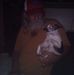 Vernon Beeson - Facebook