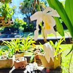 Vernon Booth - @vrbooth - Instagram