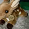 🦌luni ☢️🎰 I LOVE BENNY GECKO - @buckvernon - TikTok