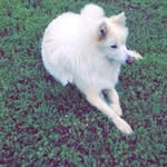 Vernon Carpenter - @vernon.carpenter - Instagram