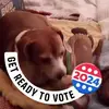 vernoncarder - @vernoncarder - TikTok
