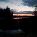 Vernon Chapman - @vernonchapman207 - Instagram