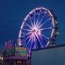 Vernon County Fair -- Wisconsin - Facebook