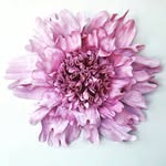 Yulia Zin - @flower.fairy.vernon - Instagram