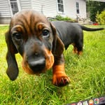 Vernon Hansen - @vernonhansen57 - Instagram
