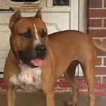 Vernon Heggie - @heggie.vernon - Instagram