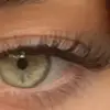 vernonkirk5 - @vernonkirk5 - TikTok
