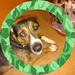 Vernon Lambert - @vernon.lambert.313 - Instagram