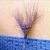 VernonMarks - @kirksbnovy1 - TikTok