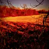 Vernon Mast - @vernonmast635 - TikTok