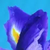 vernonmaster - @vernon.master - TikTok